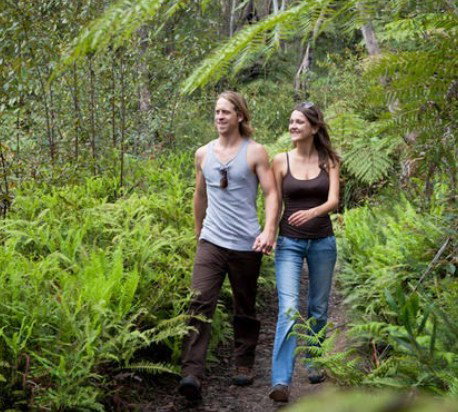 Blackheath Glen Tourist Park - New Castle Holiday 0