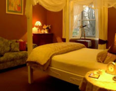 Broomelea - New Castle Holiday 2