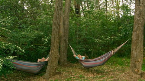 Bingle Tree Retreat - New Castle Holiday 1