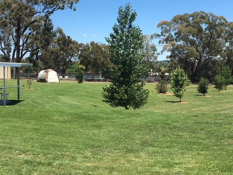 Canobolas Caravan Park - New Castle Holiday 3