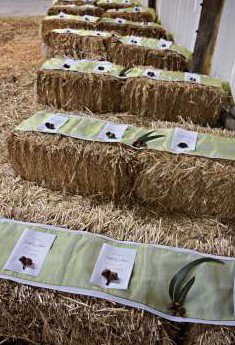 Bathurst Goldfields Accommodation - New Castle Holiday 0