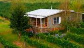 Borrodell Vineyard - Accommodation - New Castle Holiday 0