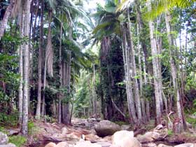 Finch Hatton Gorge Cabins - New Castle Holiday 2