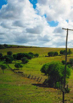 Mango Hill Cottages Bed And Breakfast - New Castle Holiday 2