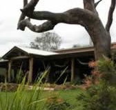 The Hollow Log Country Retreat - New Castle Holiday