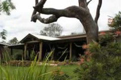 The Hollow Log Country Retreat - New Castle Holiday 0