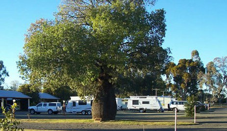 Tambo Mill Motel And Van Park - New Castle Holiday 4