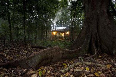 Whitewood Cottage - Bunya Mountains - New Castle Holiday 5