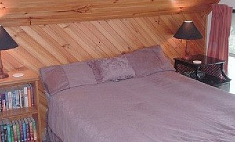 Satinwood - Holiday Home - New Castle Holiday 2