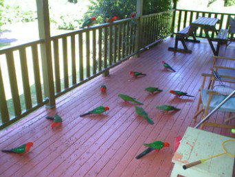 A Little Bit Of Heaven - Holiday Home - New Castle Holiday 8