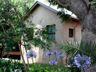 Homewood Cottages - New Castle Holiday 5