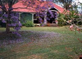 Minmore Farmstay Bed And Breakfast - New Castle Holiday 0
