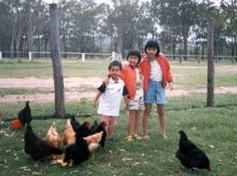 Minmore Farmstay Bed And Breakfast - New Castle Holiday 1