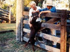 Minmore Farmstay Bed And Breakfast - New Castle Holiday 2