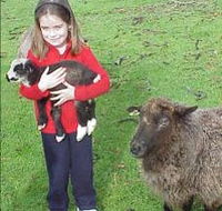 Cinnamon Coloureds Farmstay - New Castle Holiday