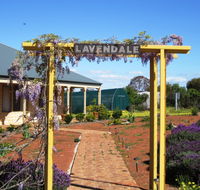 Lavendale Farmstay and Cottages - New Castle Holiday