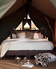 Sal Salis Ningaloo Reef - New Castle Holiday 0