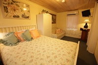 Carter Cottages - New Castle Holiday 7