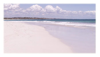 Sun City Holidays - New Castle Holiday 0