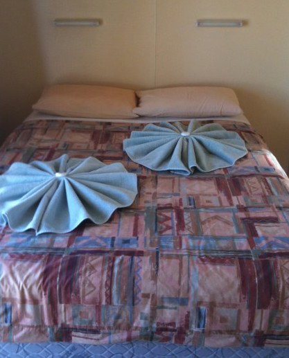 Wauchope Hotel - New Castle Holiday 4