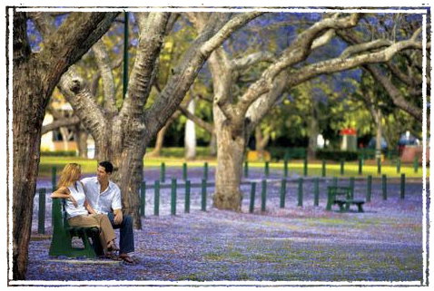 Kirkland House B&B - New Castle Holiday 3