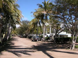 Alva Beach Tourist Park - New Castle Holiday 0