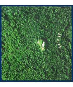 The Canopy Treehouses - New Castle Holiday 2