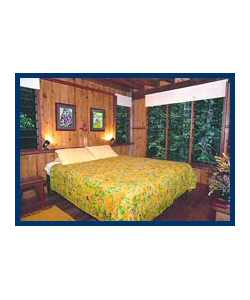 The Canopy Treehouses - New Castle Holiday 3