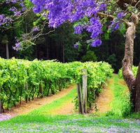Bago Vineyards - New Castle Holiday
