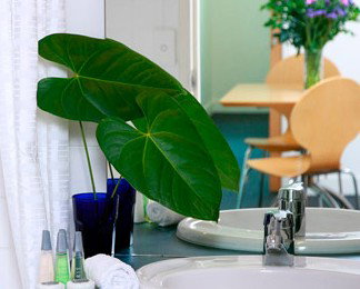 The Point Brisbane - New Castle Holiday 2