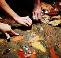 Daintree Eco Lodge And Spa - New Castle Holiday
