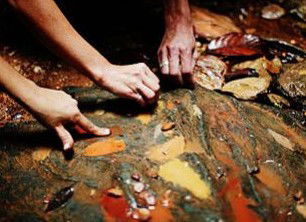 Daintree Eco Lodge And Spa - New Castle Holiday 0