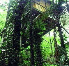 Daintree Eco Lodge And Spa - New Castle Holiday 1