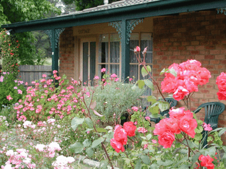 Balnarring Village Motor Inn - New Castle Holiday 5