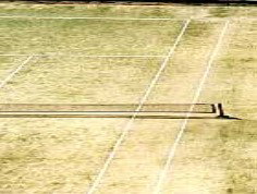 Kingston Apartments - New Castle Holiday 1