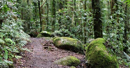 Hillside Bed & Breakfast - New Castle Holiday 2