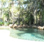 Bushland Beach Tavern - New Castle Holiday