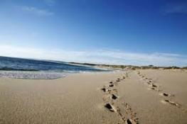 Kalbarri Palm Resort - New Castle Holiday 4