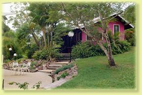 Jacaranda Cottage - New Castle Holiday 2