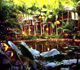 Daintree Eco Lodge And Spa - New Castle Holiday 3