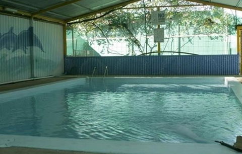 Wycliffe Well Holiday Park - New Castle Holiday 1