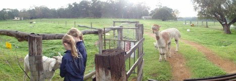 Boronia Farm Farmstay - New Castle Holiday 0