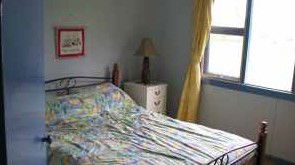 Boronia Farm Farmstay - New Castle Holiday 2