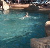 Undara Experience Lava Lodge - New Castle Holiday