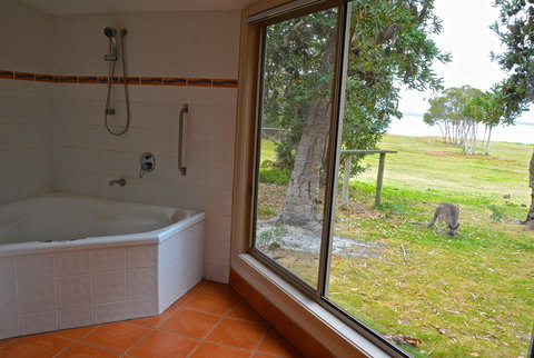 Wattle Point Waterfront Retreat - New Castle Holiday 5