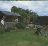 Tambo Lodge - New Castle Holiday
