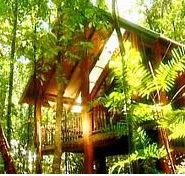 The Canopy Treehouses - New Castle Holiday