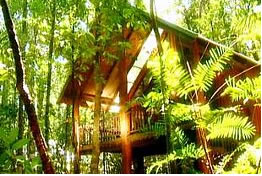 The Canopy Treehouses - New Castle Holiday 0