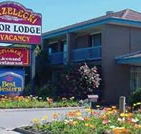 Strzelecki Motor Lodge - New Castle Holiday