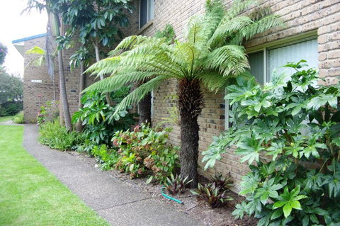 Beachfront Units Merimbula - New Castle Holiday 3